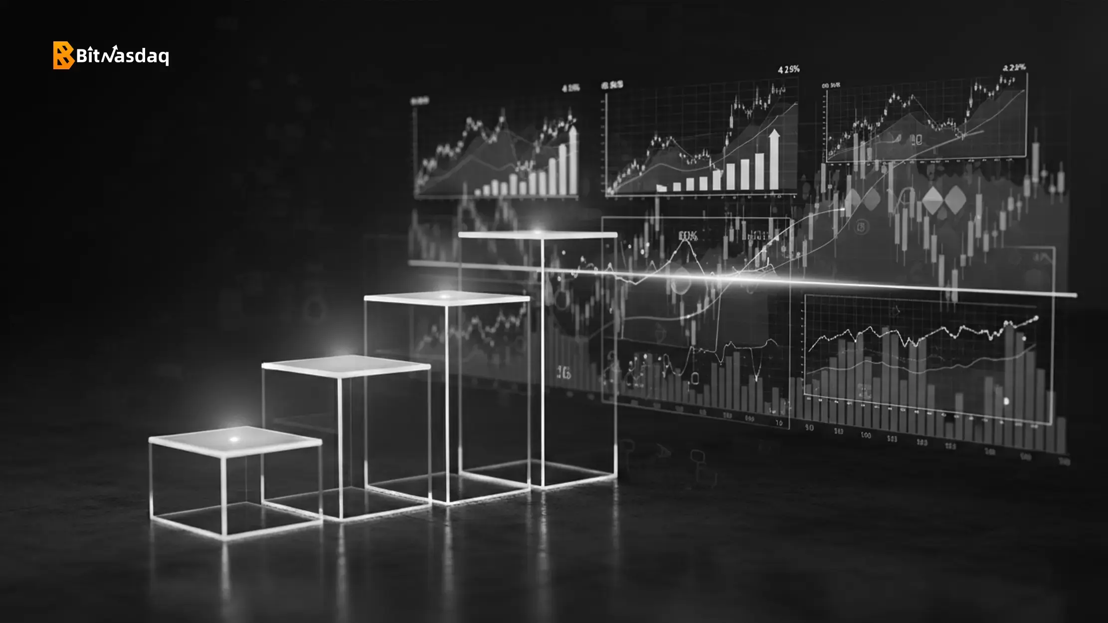 Premium Tiers and Payout Trigger Standard.webp